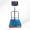 Digital Weighing Machine